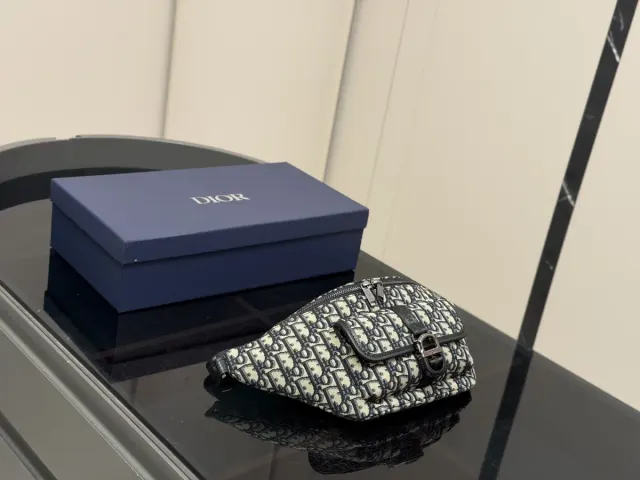 Dior Embroidered Canvas Belt Bag — 30 × 17 cm — source photograph 1 of 3