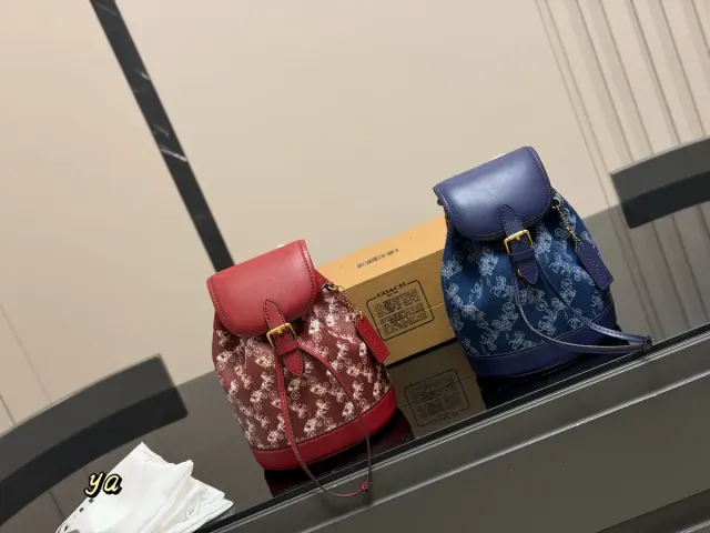 Coach Canvas Backpack — 17 × 21 cm — source photograph 1 of 3