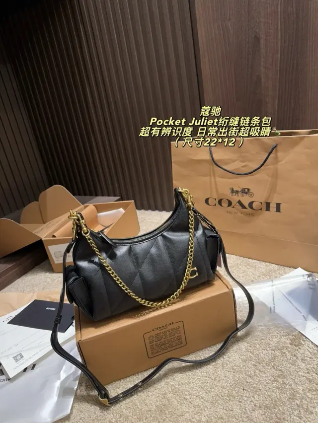 Coach Juliet Quilted Chain Crossbody Bag in Leather — source photograph 1 of 3