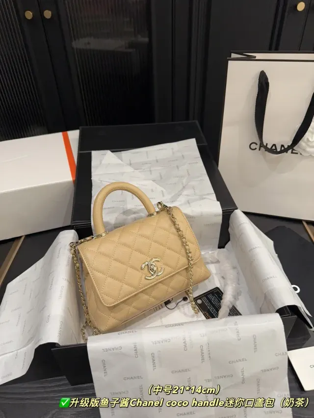 Chanel Coco Handle Mini Bag in Leather — source photograph 1 of 3
