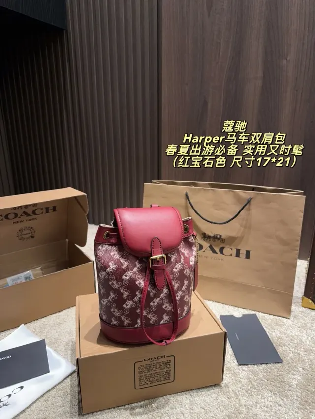 Coach Printed Backpack in Leather — source photograph 1 of 3