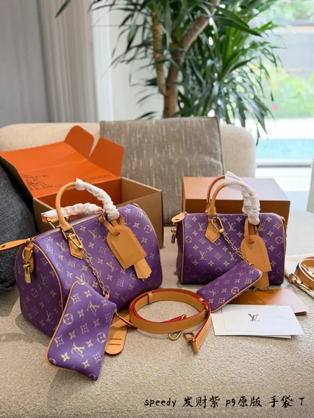 Louis Vuitton Speedy Embroidered Monogram Satchel Bag in Leather — 25 cm Options — source photograph 1 of 3