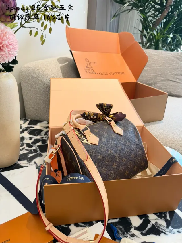 Louis Vuitton Speedy 25 Monogram Shoulder Bag in Leather — source photograph 1 of 3