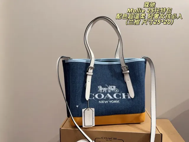 Coach Mollie Canvas Tote Bag — source photograph 1 of 3