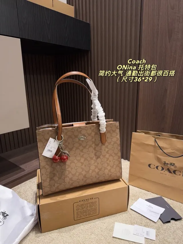 Coach Tote Bag in Leather — source photograph 1 of 3