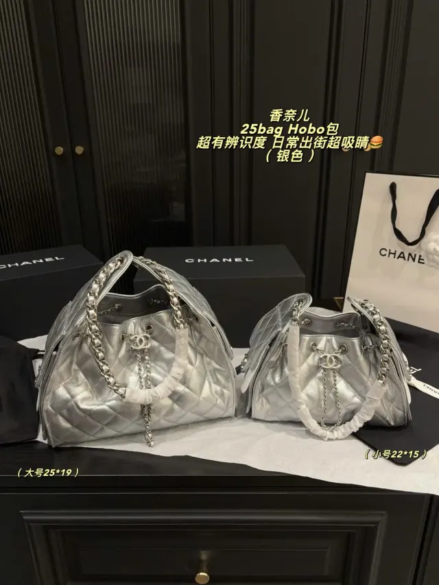 Chanel 25 Quilted Hobo Bag, metallic silver — size comparison