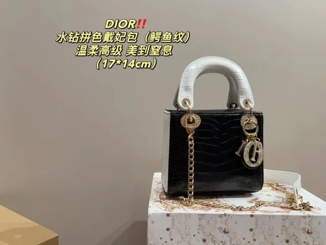 Dior Croc Embossed Handbag in Leather — source photograph 1 of 3