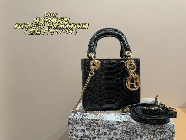 Dior Chain Crossbody Bag in Leather — source photograph 1 of 3