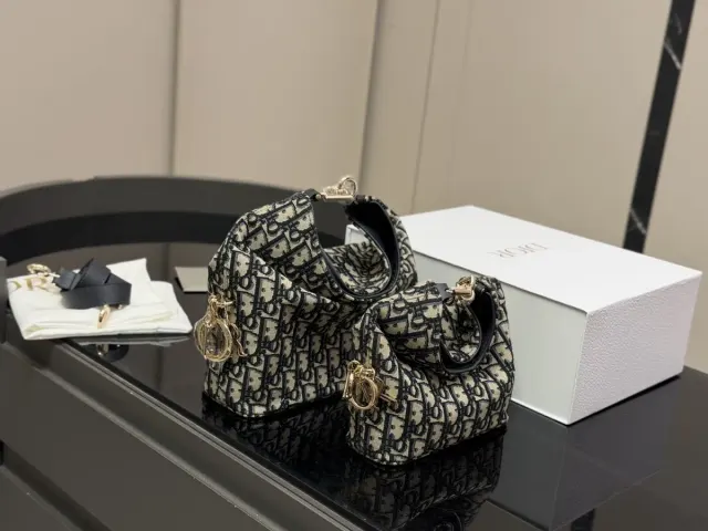 Dior Toujours Handbag in Leather — 23 cm Options — source photograph 1 of 3