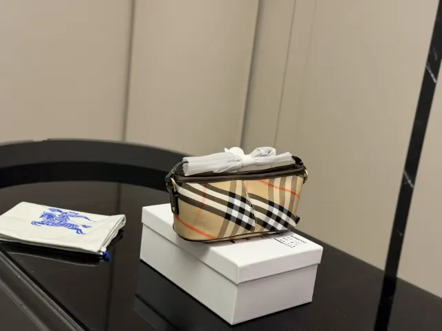 Burberry Check Baguette Shoulder Bag, beige — full check baguette