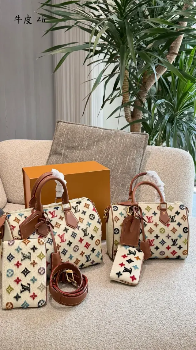 Louis Vuitton Speedy Embroidered Plush Satchel Bag — source photograph 1 of 3