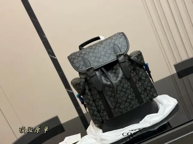 Coach Backpack in Leather — 29 × 44 cm — source photograph 1 of 3