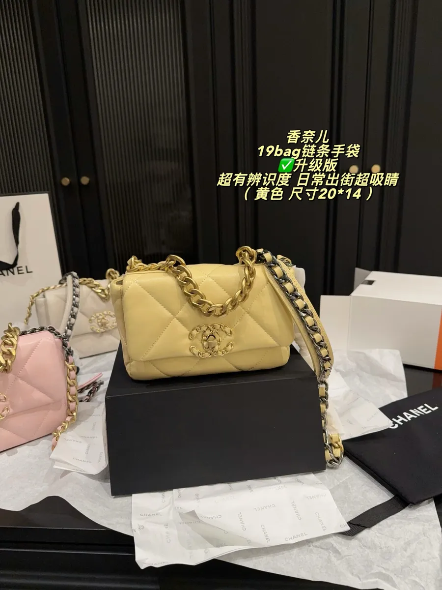 Chanel 19 Bag Chain Crossbody Bag — source photograph 1 of 3