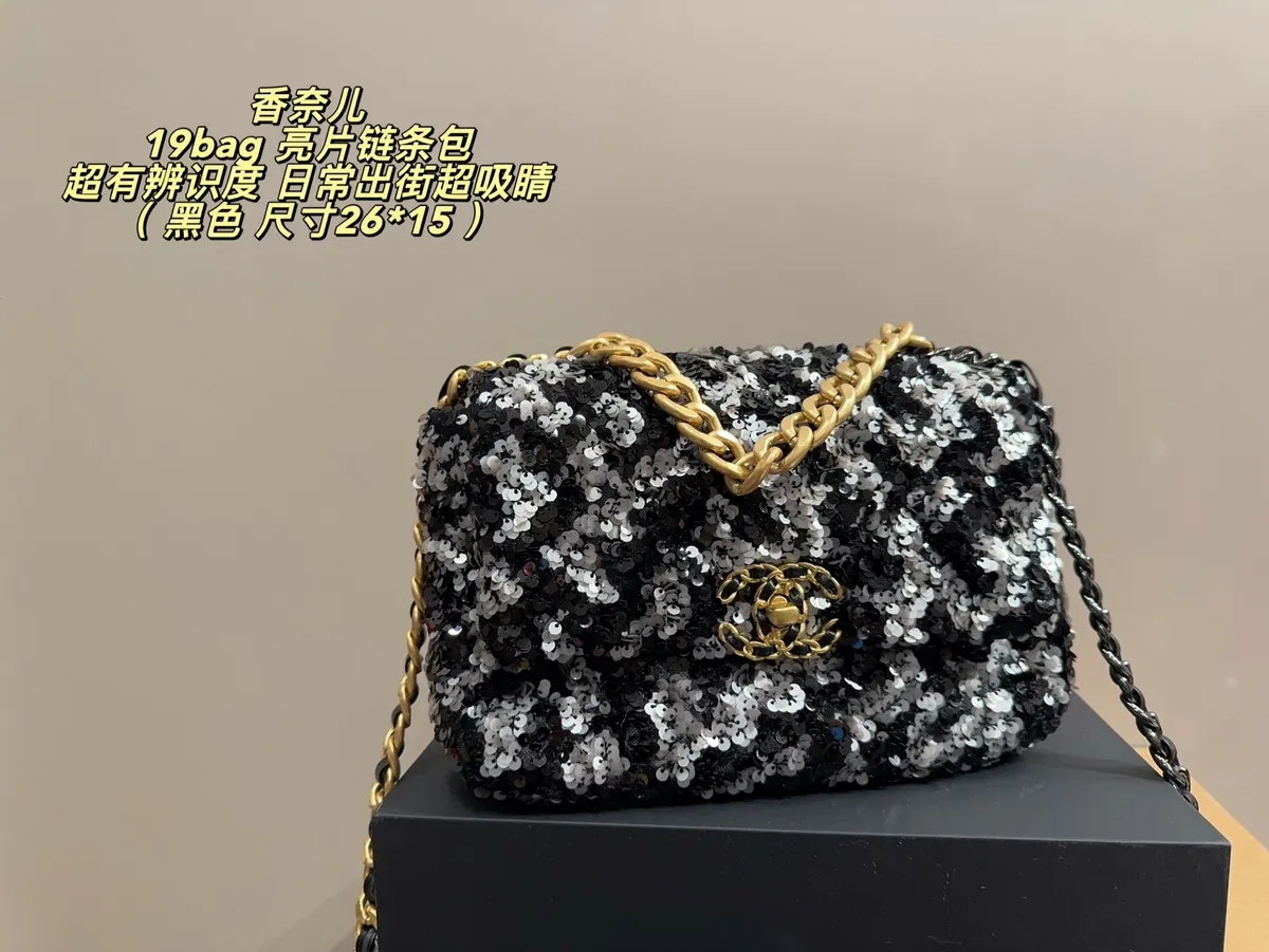 Chanel 19 Bag Chain Shoulder Bag — source photograph 1 of 3