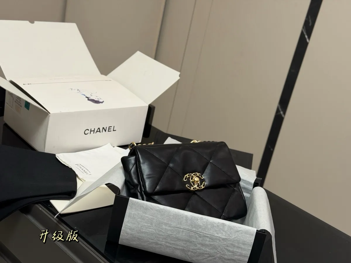 Chanel 19 Bag Handbag - 25 cm — source photograph 1 of 3