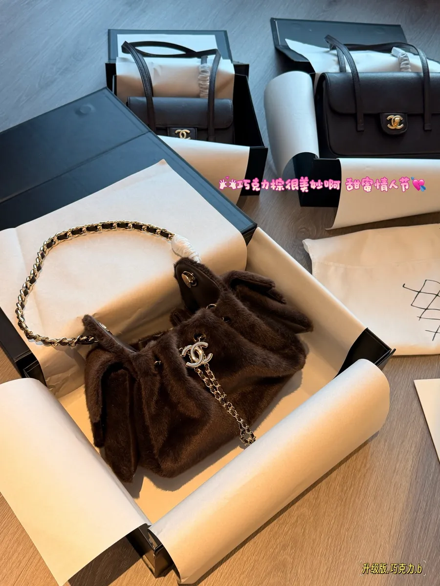 Chanel 25 Bag Handbag - 24 × 15 cm — source photograph 1 of 3
