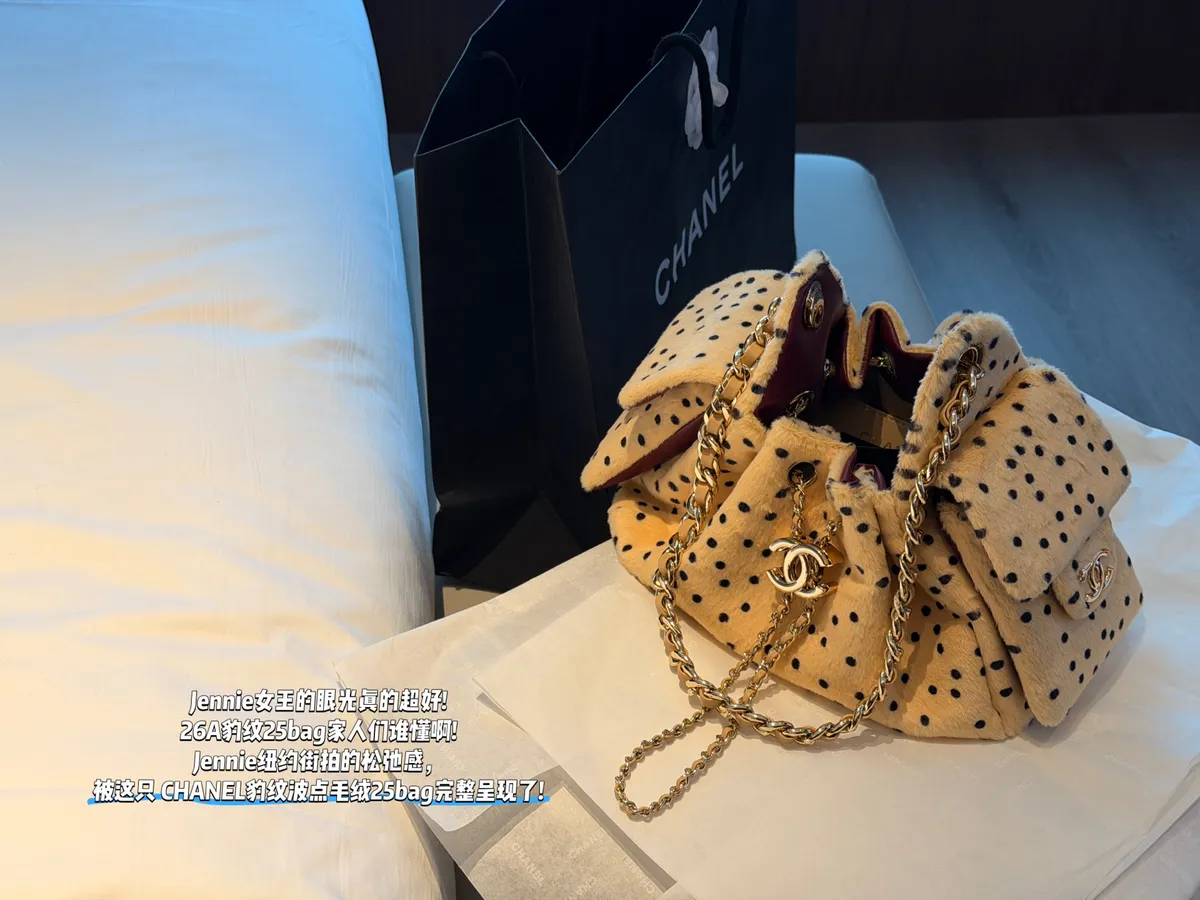 Chanel 25 Bag Leopard Print Handbag - 24 × 15 cm — source photograph 1 of 3