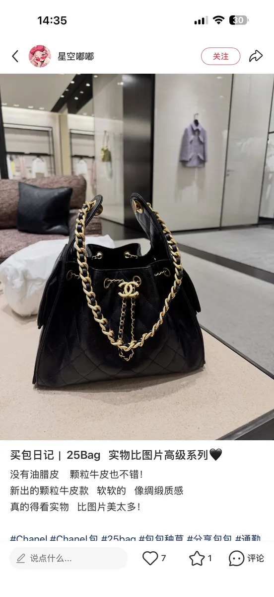 Chanel 25 Bag Mini Bag — source photograph 1 of 3