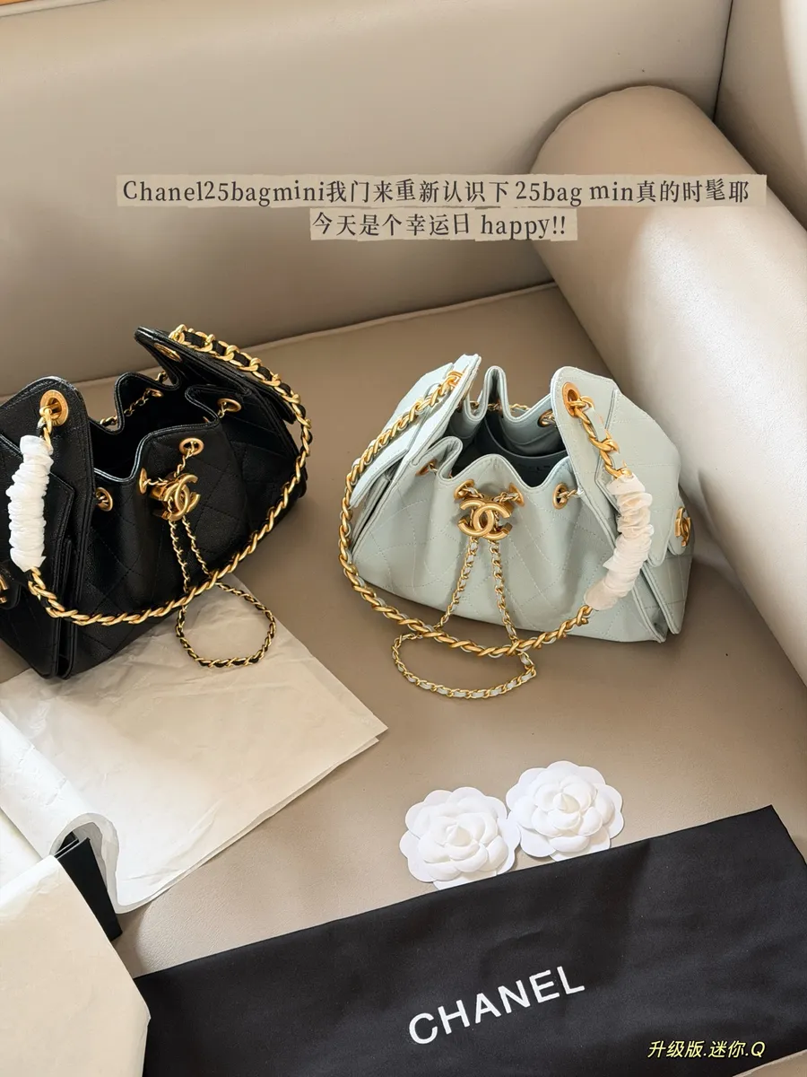Chanel 25 Bag Shoulder Bag - 22 × 15 cm — source photograph 1 of 3