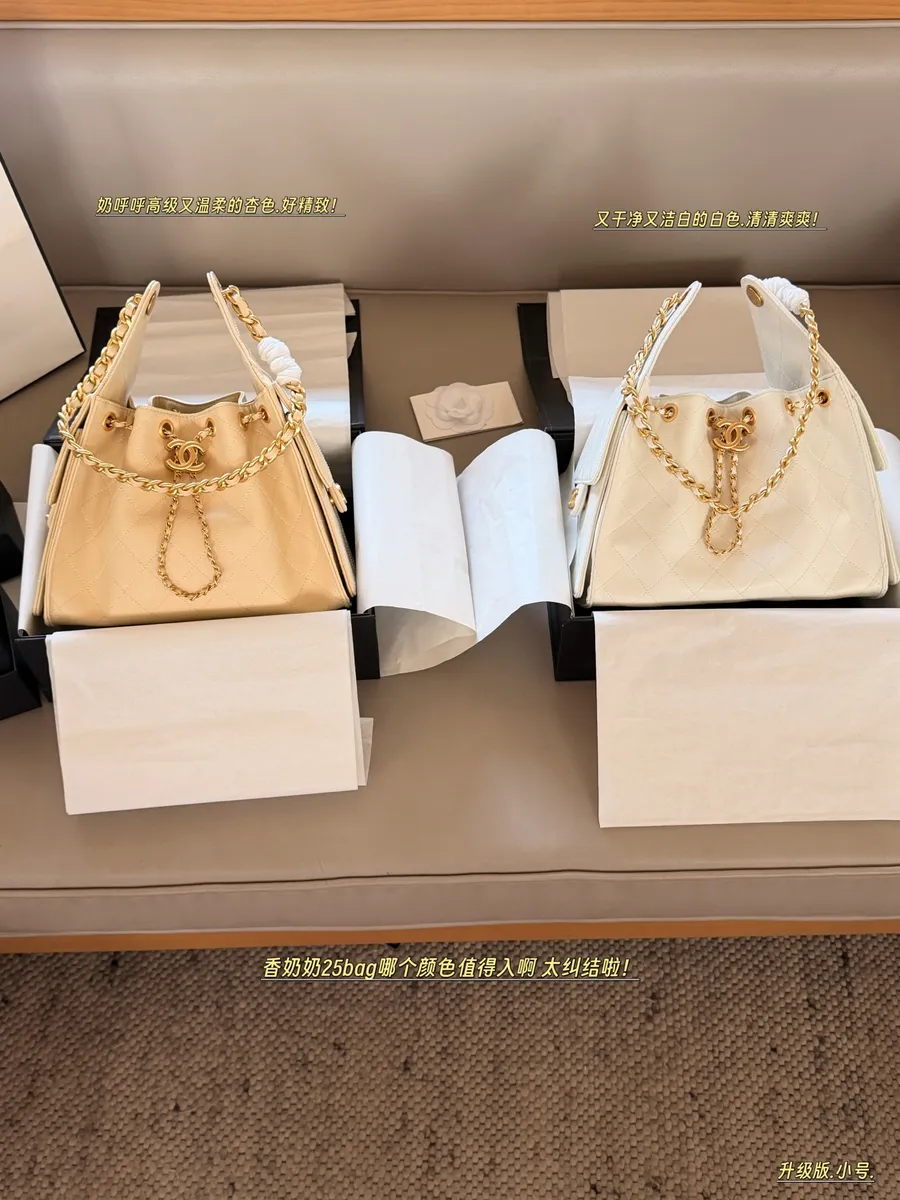 Chanel 25 Bag Shoulder Bag - 26 × 21 cm — source photograph 1 of 3