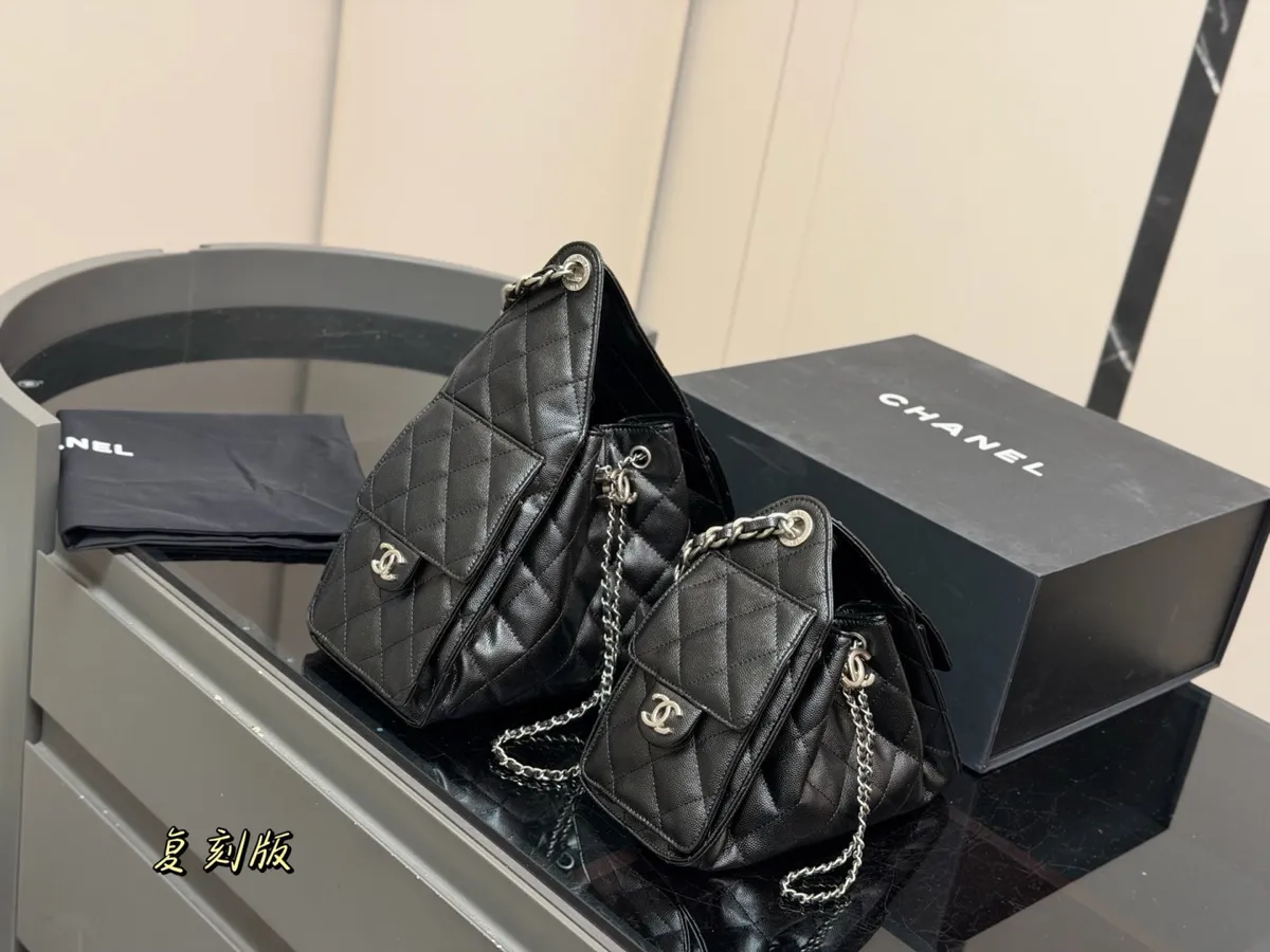 Chanel 25 Bag Shoulder Bag - 26 cm Options — source photograph 1 of 3