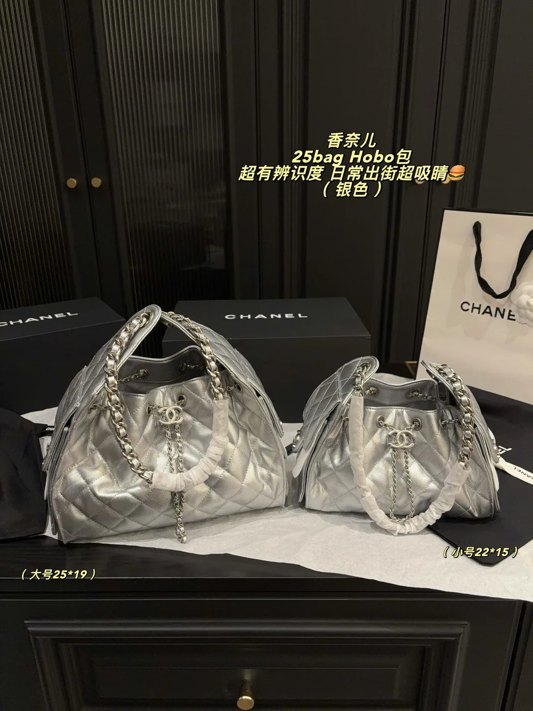 Chanel 25 Quilted Hobo Bag, metallic silver — size comparison