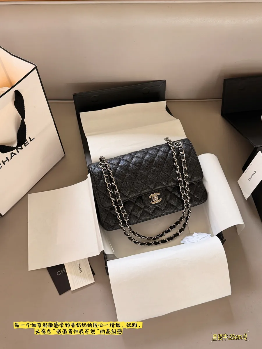 Chanel Classic Flap Handbag - 25 × 16 cm — source photograph 1 of 3