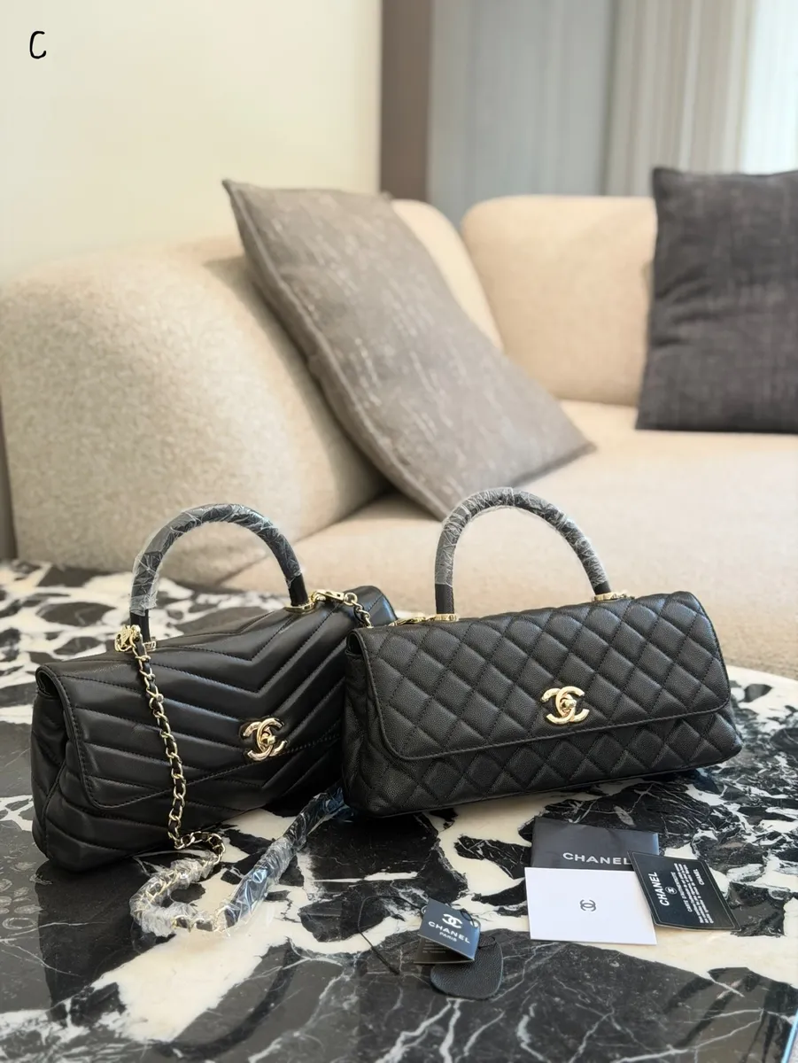 Chanel Coco Handle Chain Crossbody Bag - 24 cm — source photograph 1 of 3