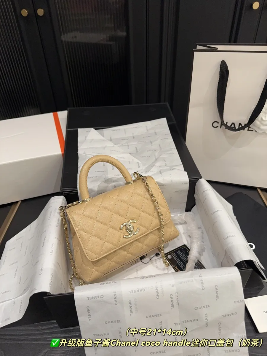 Chanel Coco Handle Mini Bag — source photograph 1 of 3