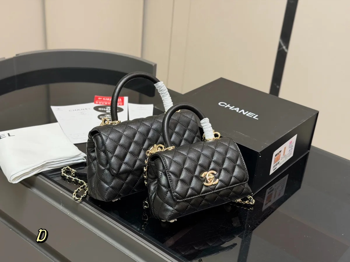 Chanel Coco Handle Top Handle Bag - 20 × 13 cm Options — source photograph 1 of 3
