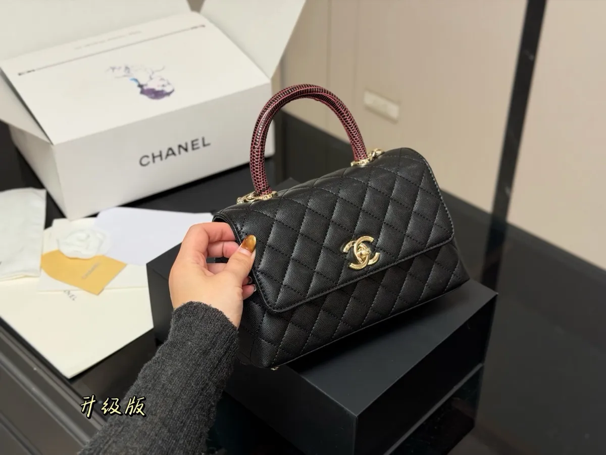 Chanel Coco Handle Top Handle Bag - 23 × 14 cm — source photograph 1 of 3