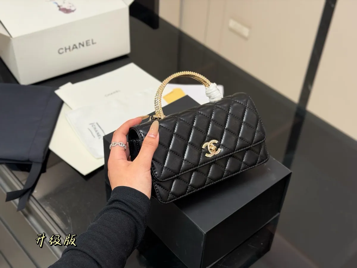 Chanel WOC Handbag - 19 × 11 cm — source photograph 1 of 3