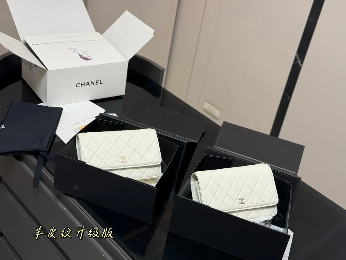 Chanel WOC Wallet on Chain - 19 × 12 cm — source photograph 1 of 3