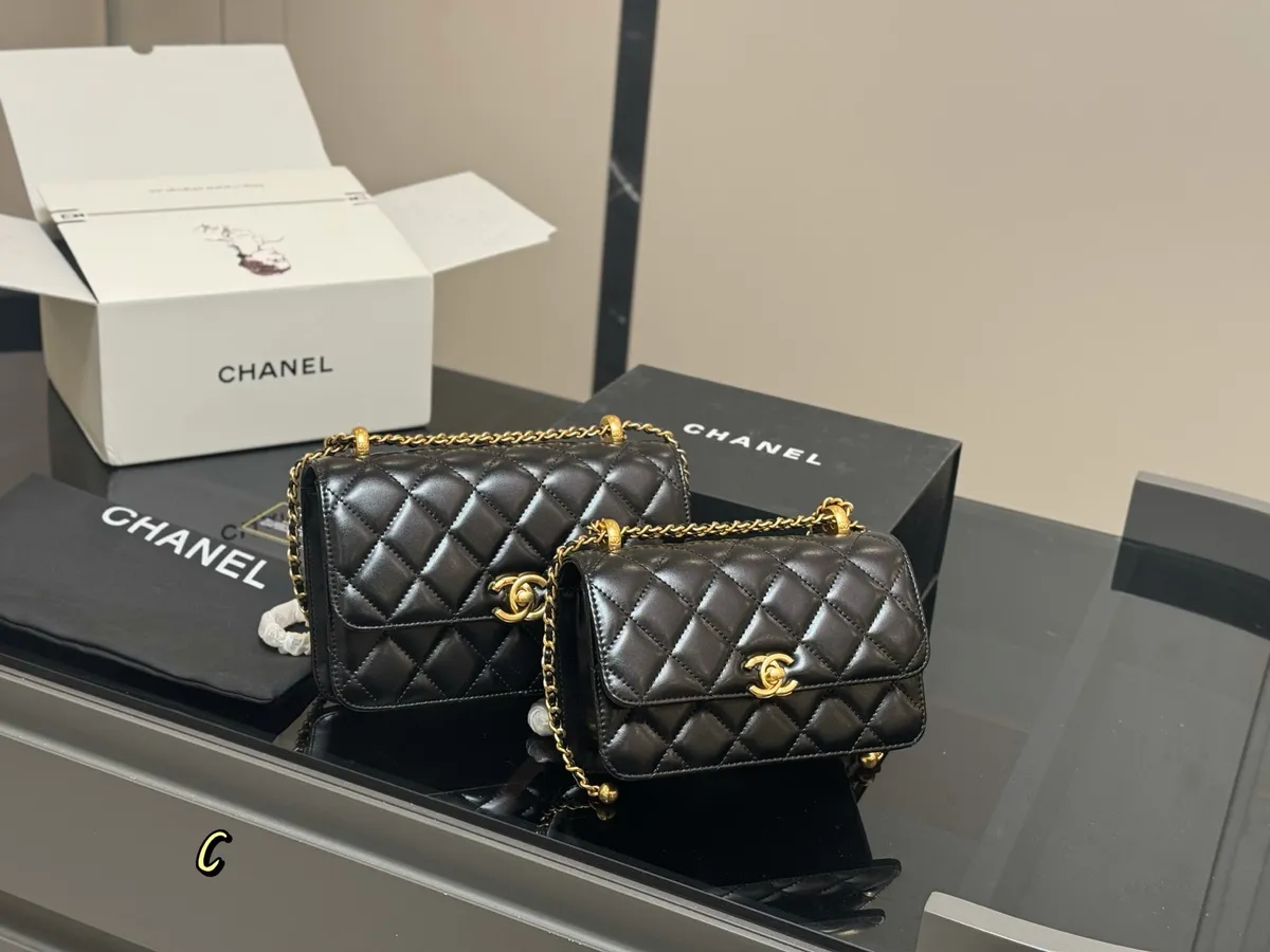 Chanel WOC Wallet on Chain - 19 × 13 cm Options — source photograph 1 of 3