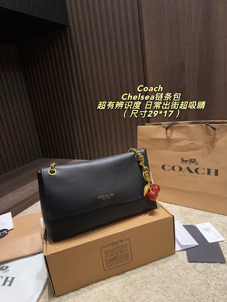 Coach Chain Shoulder Bag — source photograph 1 of 3
