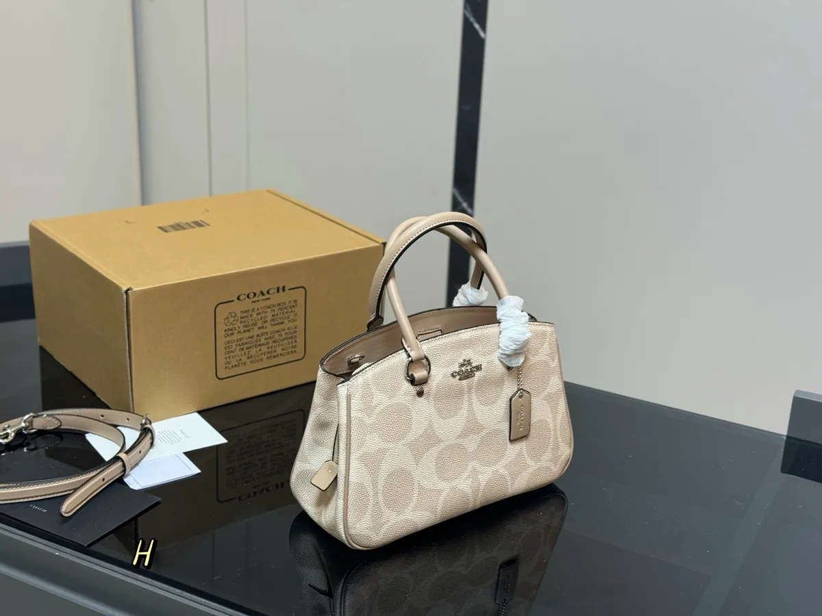 Coach Handbag - 27 × 19 cm — source photograph 1 of 3