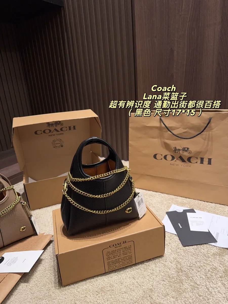 Coach Lana Chain Bucket Bag — source photograph 1 of 3