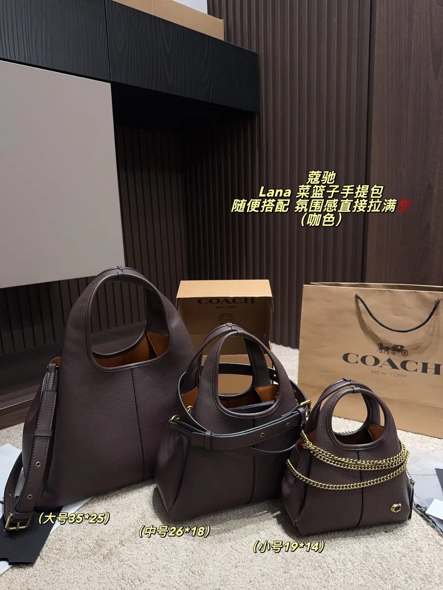 Coach Lana Chain Tote Bag — source photograph 1 of 3