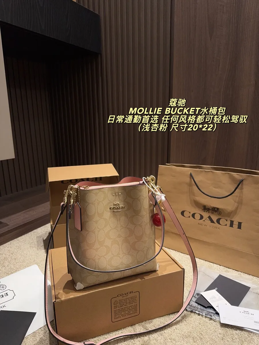 Coach Mollie Bucket Bag — source photograph 1 of 3