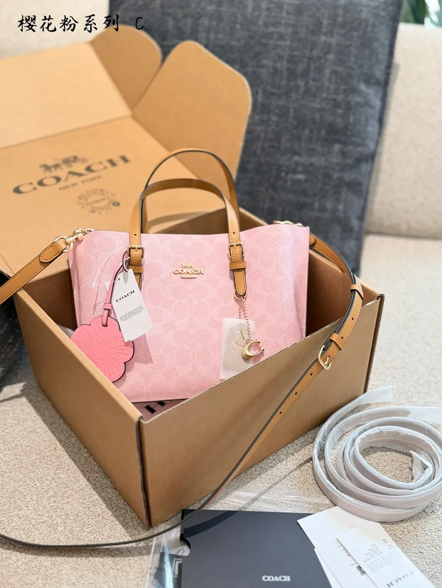 Coach Mollie Chain Printed Tote Bag - 25 × 19 × 12.5 cm — source photograph 1 of 3