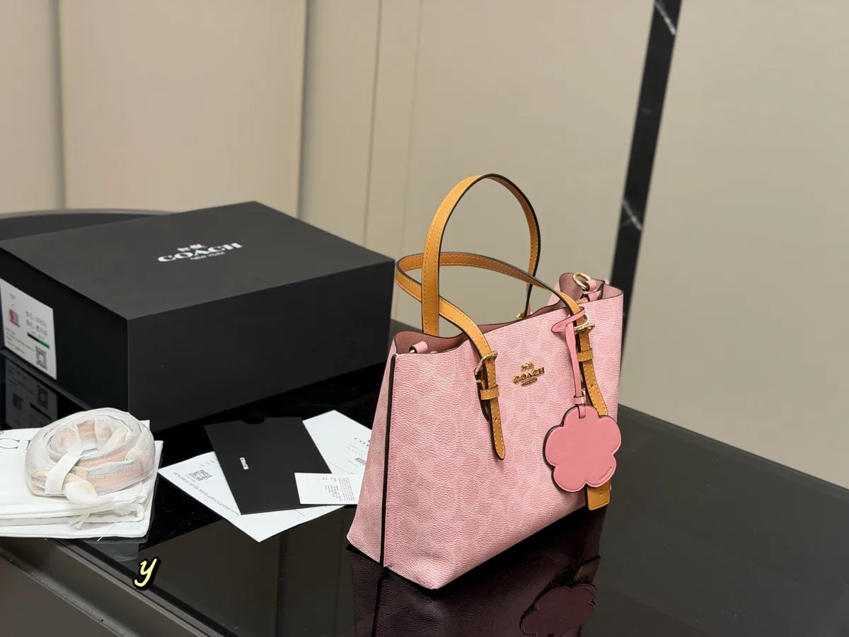 Coach Mollie Tote Bag Replica - 25 × 20 cm — source photograph 1 of 3