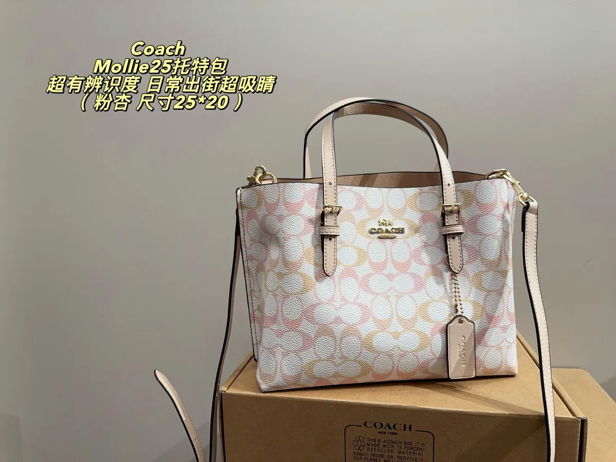 Coach Mollie Tote Bag — source photograph 1 of 3