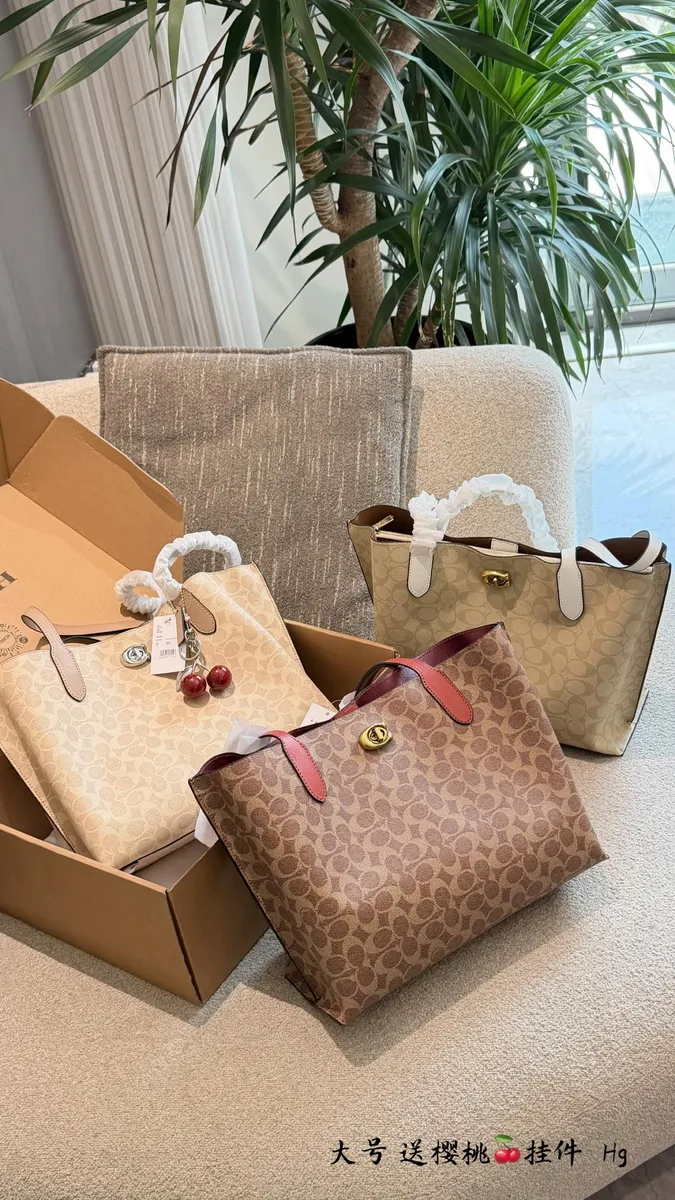 Coach Tote Bag - 30 cm — source photograph 1 of 3