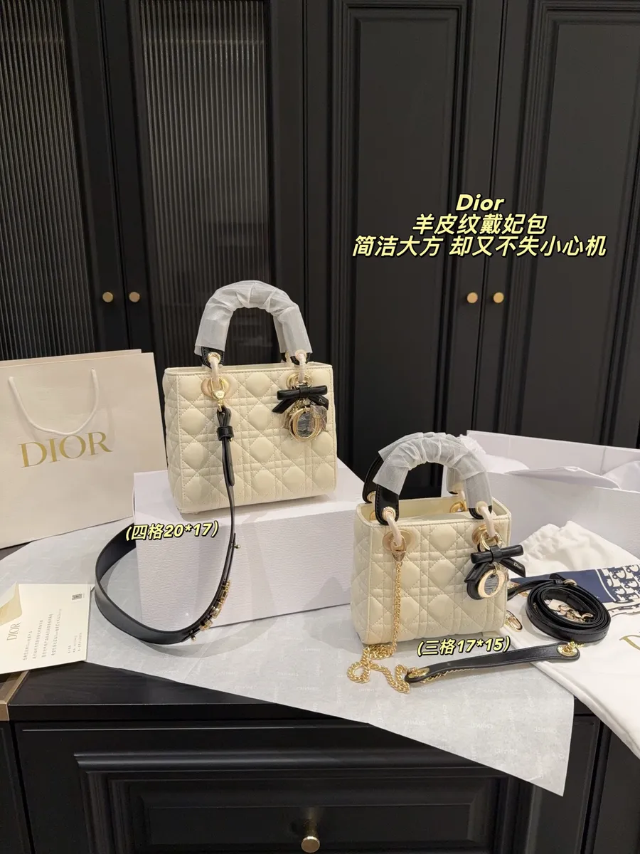Dior Bow Handbag — source photograph 1 of 3
