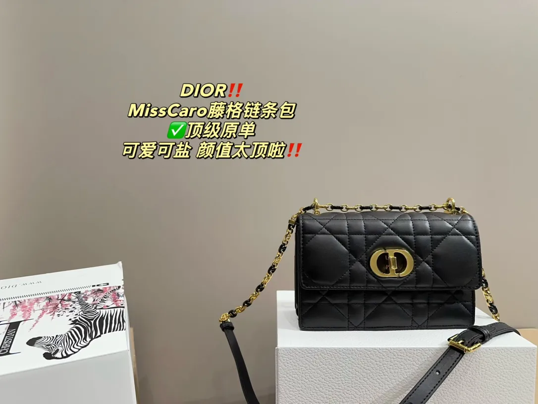 Dior Check Chain Handbag — source photograph 1 of 3