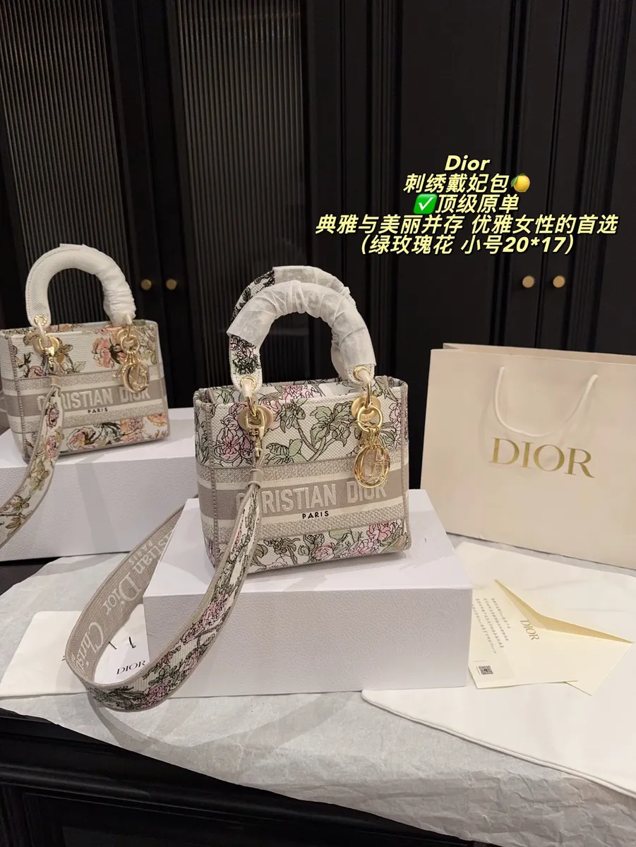Dior Embroidered Mini Bag — source photograph 1 of 3