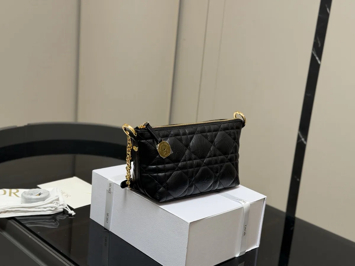 Dior Handbag - 22 × 14 cm — source photograph 1 of 3