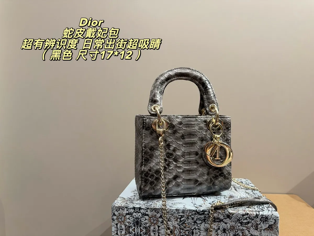 Dior Lady Chain Crossbody Bag — source photograph 1 of 3