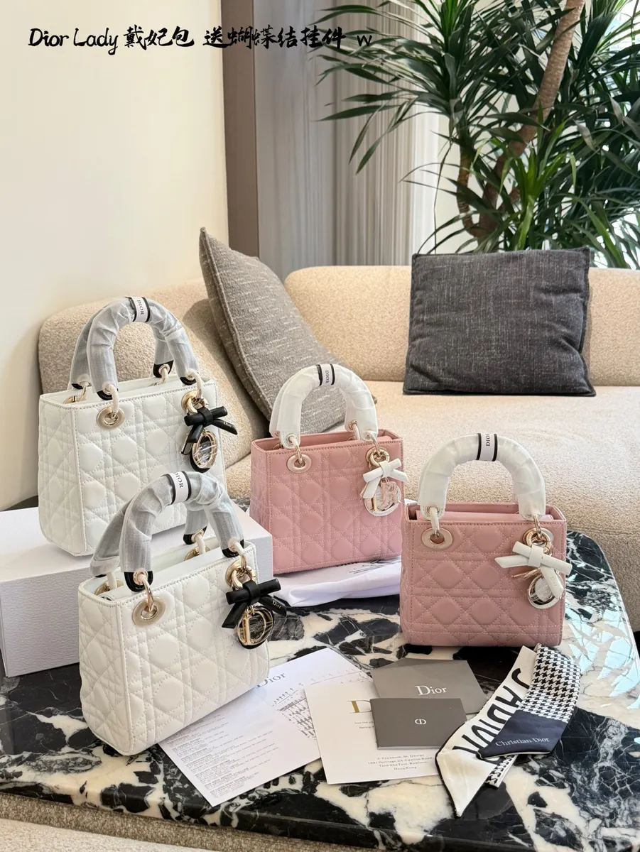 Dior Lady Check Bow Crossbody Bag - 16 × 15 × 7.5 cm Options — source photograph 1 of 3