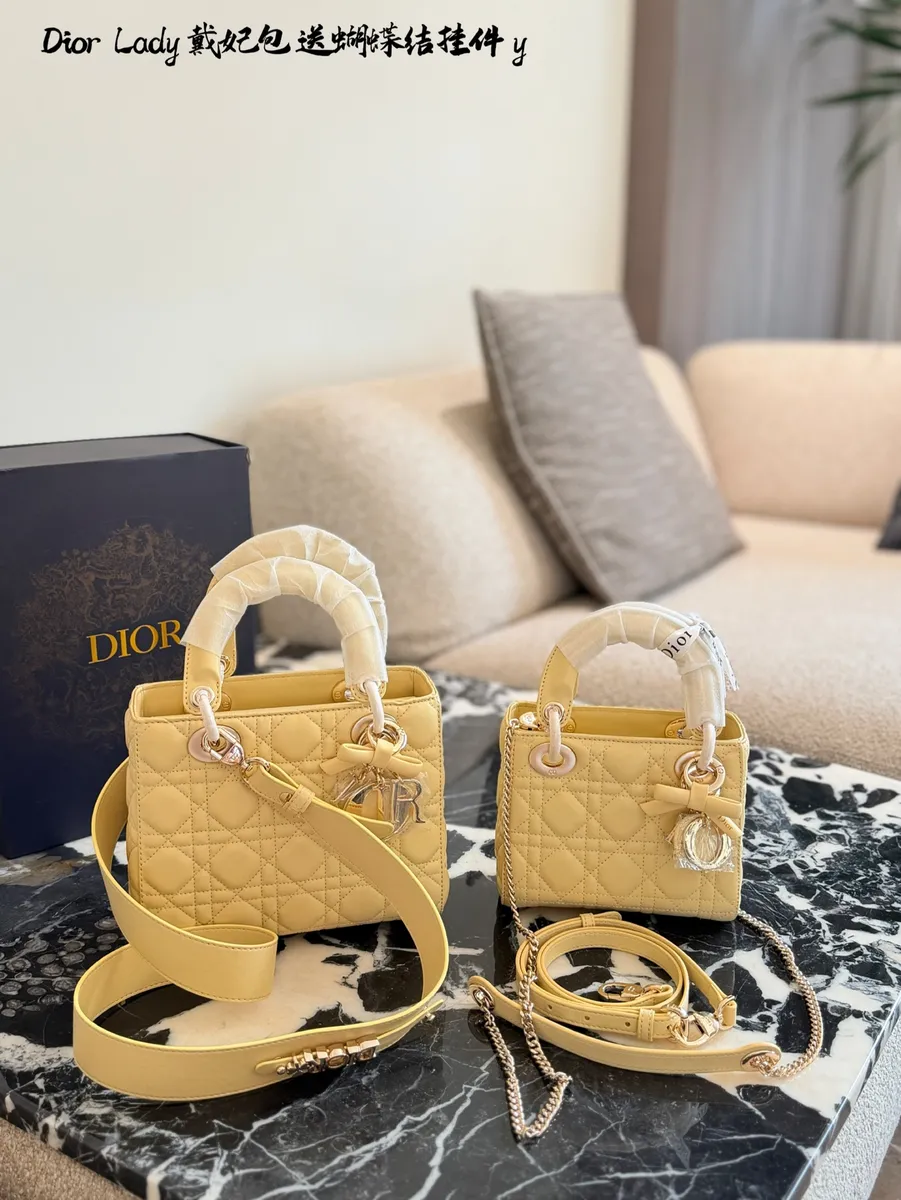 Dior Lady Check Bow Crossbody Bag - 17 cm Options — source photograph 1 of 3